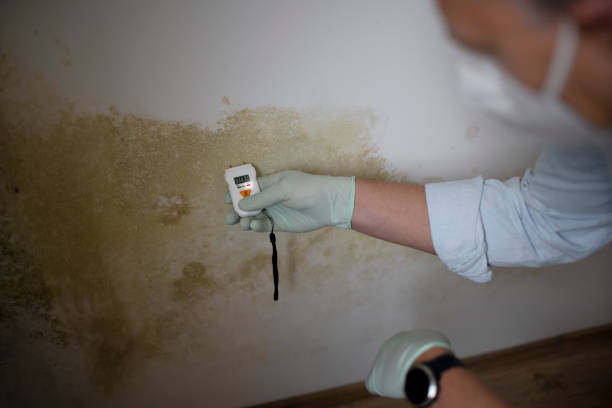 Asbestos and Lead Testing During Mold Inspection in Silver Lakes, CA